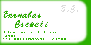 barnabas csepeli business card